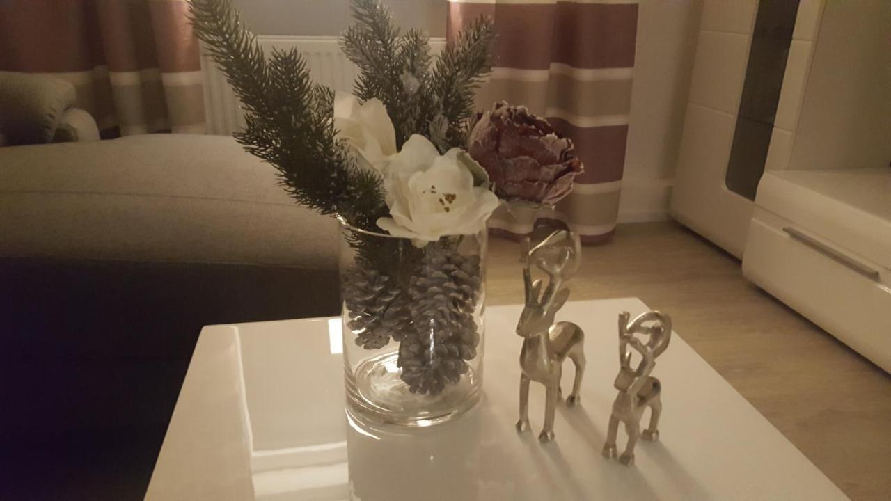 Ferienwohnung Haus Zeier 戈斯拉尔 外观 照片